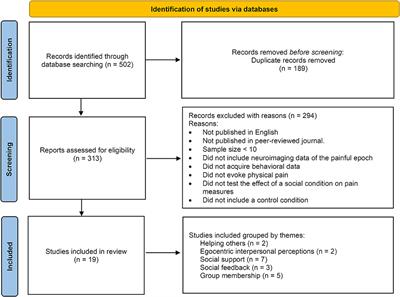 The influence of social signals on the self-experience of pain: A neuroimaging review
